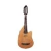 Godin Multioud Encore Nylon Naturel SG - Godin -Zedem Sale Store 037414 MULTIOUD ENCORE NYLON NATURAL SG front 1