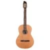 Godin Concert - SF - Godin -Zedem Sale Store 049646 1