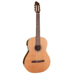 Godin Concert - SF - Godin -Zedem Sale Store 049646 2