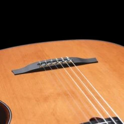 Godin Mutiac Grand Concert Deluxe - Godin -Zedem Sale Store 053063 MULTIAC MUNDIAL GRAND CONCERT MAH DLX 04