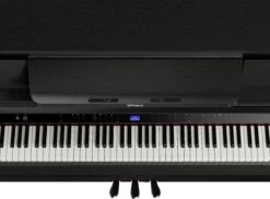 Roland LX-6-CH-WS Premium Upright Digital Piano - Charcoal - Roland -Zedem Sale Store 07 LX 6 CH PANEL