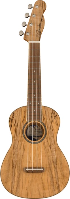Fender - Zuma Exotic Concert Ukulele, Walnut Fingerboard, Spalted Maple - Fender