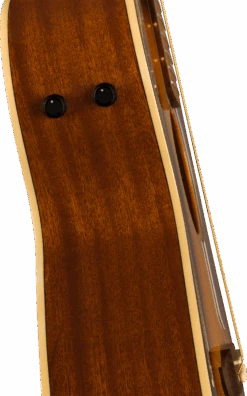 Fender Newporter Player, Walnut Fingerboard, Gold Pickguard, Sunburst - Fender -Zedem Sale Store 0970743503 fen ins bit 1 nr