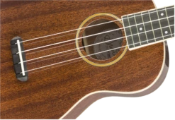 Fender Ukulele Grace VanderWaal Signature Concert WN - Fender -Zedem Sale Store 0971630076 gtr frtbdydtl 001 nr