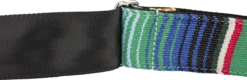 Fender Serape Strap, Green Multi, 2" - Fender -Zedem Sale Store 0992132541 merch dtl 003 nr