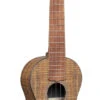 Martin Ukulele, 0XK Concert W/Gig Bag, Left-Handed - Martin -Zedem Sale Store 0XK CONCERT UKE f 1