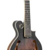 Gold Tone F6 F-Style Acoustic/Electric Mando-Guitar With Case - Gold Tone -Zedem Sale Store 1 front