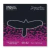 PRS Signature Strings 9-42 - Paul Reed Smith 2 PRS Signature Strings 9-42 - Paul Reed Smith -Zedem Sale Store 100148 001 001 004 B
