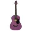 BeaverCreek 3/4 Dreadnought Trans Purple - BeaverCreek -Zedem Sale Store 12862