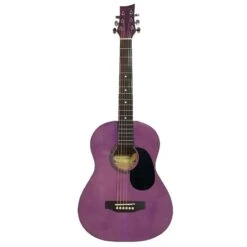 BeaverCreek 3/4 Dreadnought Trans Purple - BeaverCreek