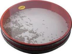 Mano Percussion 10" Ocean Drum - Mano Percussion