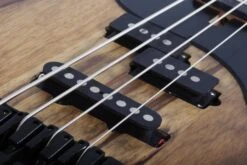 Schecter Model-T 4 Exotic Black Limba - Schecter -Zedem Sale Store 2832 SHC10