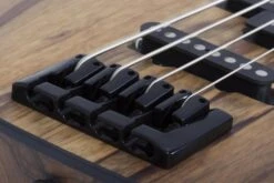 Schecter Model-T 4 Exotic Black Limba - Schecter -Zedem Sale Store 2832 SHC4