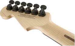 Charvel USA Select San Dimas Style 1 HSS HT, Rosewood Fingerboard, Torred - Charvel -Zedem Sale Store 2835253739 gtr hdstckbck 001 nr