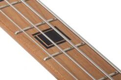 Schecter J-4 Exotic Exotic - Schecter -Zedem Sale Store 2926 SHC hqw 6