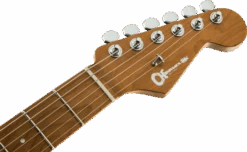 Charvel Pro-Mod DK24 HH 2PT CM, Caramelized Maple Fingerboard, Matte Blue Frost - Charvel -Zedem Sale Store 2969411534 cha ins hft 01 nr