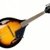 Alabama A Style Acoustic Mandolin, Tobacco Sunburst - Alabama