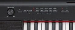 Yamaha NP12 Piaggero 61-Keys Portable Keyboard - Black - Yamaha -Zedem Sale Store 30772 yamaha np12b YAMAHA NP12 B ACCLAIM DI4