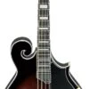 Ibanez F-Style Mandolin - Dark Violin Sunburst - Ibanez