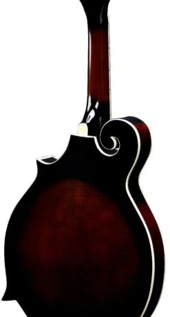 Ibanez F-Style Mandolin - Dark Violin Sunburst - Ibanez -Zedem Sale Store 31504 ibanez m522sdvs IBANEZ M522SDVS ACCLAIM DI5