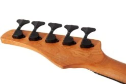 Schecter C-5 Standard, Tobacco Burl - Schecter -Zedem Sale Store 3972 SHC hqw 14