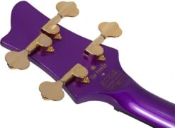 Schecter Freezesicle-4 Freeze Purple - Schecter 21 Schecter Freezesicle-4 Freeze Purple - Schecter -Zedem Sale Store 40752 schecter 2297shc Schecter 2297 SHC Acclaim Di6