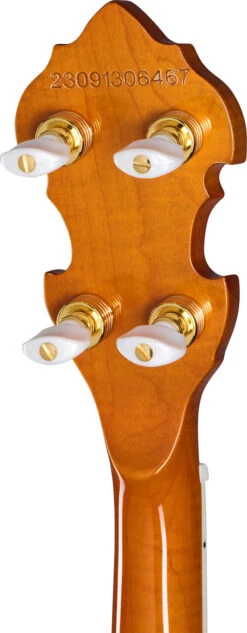 Epiphone Mtone Classic Banjo W/Case - Epiphone -Zedem Sale Store 41275 epiphone eigbmcnanh Epiphone EIGBMCNANH Acclaim nD9