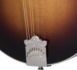 Epiphone F-5G W/Case Cremona Burst - Epiphone -Zedem Sale Store 41276 epiphone eigcmf5gcrbnh Epiphone EIGCMF5GCRBNH Acclaim nD10