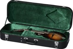 Epiphone F-5G W/Case Cremona Burst - Epiphone -Zedem Sale Store 41276 epiphone eigcmf5gcrbnh Epiphone EIGCMF5GCRBNH Acclaim nD4