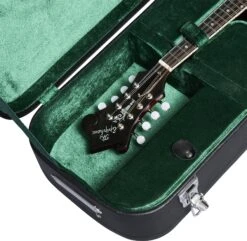 Epiphone F-5G W/Case Cremona Burst - Epiphone -Zedem Sale Store 41276 epiphone eigcmf5gcrbnh Epiphone EIGCMF5GCRBNH Acclaim nD5