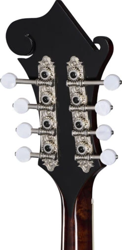 Epiphone F-5G W/Case Cremona Burst - Epiphone -Zedem Sale Store 41276 epiphone eigcmf5gcrbnh Epiphone EIGCMF5GCRBNH Acclaim nD8