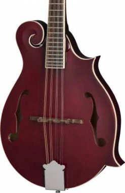 Epiphone F-5 Studio W/Gigbag Wine Red Satin - Epiphone -Zedem Sale Store 41278 epiphone eigmf5swrsnh Epiphone EIGMF5SWRSNH Acclaim nD2