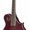 Epiphone F-5 Studio W/Gigbag Wine Red Satin - Epiphone -Zedem Sale Store 41278 epiphone eigmf5swrsnh Epiphone EIGMF5SWRSNH Acclaim nD3