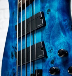 Spector NS Dimension MS 5, Black & Blue Gloss - Spector -Zedem Sale Store 43156 spector nsdm5bkbl Spector NSDM5BKBL Acclaim D3