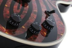 Wylde Audio Heathen Grail Blizzard Gloss Black - Schecter -Zedem Sale Store 4550 SHC hqw 11