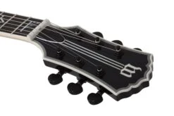 Wylde Audio Heathen Grail Blizzard Gloss Black - Schecter -Zedem Sale Store 4550 SHC hqw 8