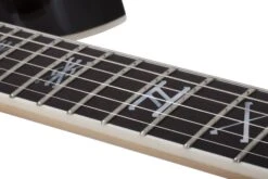 Wylde Audio Heathen Grail Blizzard Gloss Black - Schecter -Zedem Sale Store 4550 SHC hqw 9