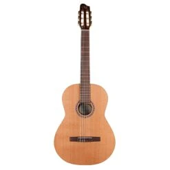Godin Concert QIT - Godin