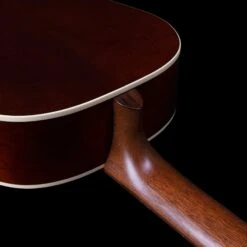 Godin Classic Etude QIT - Godin -Zedem Sale Store 49691 Godin Nylon Etude heel