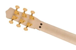 EVH Limited Edition Star, Ebony Fingerboard, Stealth Black With Gold Hardware - EVH -Zedem Sale Store 5108007569 evh ins hbk 1 nr