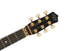 EVH Limited Edition Star, Ebony Fingerboard, Stealth Black With Gold Hardware - EVH -Zedem Sale Store 5108007569 evh ins hft 1 nr