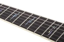 Schecter Avenger Exotic Spalted Maple Left-Handed - Schecter -Zedem Sale Store 582 SHC hqw 7