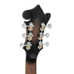 Gold Tone F6 F-Style Acoustic/Electric Mando-Guitar With Case - Gold Tone -Zedem Sale Store 7 headstock