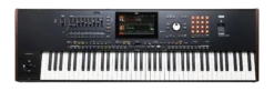 Korg - PA5X76 - 76 Semi Weighted RX Arranger - Korg