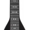 Epiphone Electar Inspired By 1939 Century Lap Steel Outfit - Epiphone
