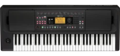 Korg EK-50 Limitless 61-Key Arranger Keyboard - Korg