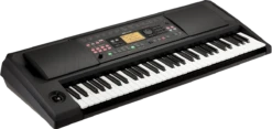 Korg EK-50 Limitless 61-Key Arranger Keyboard - Korg -Zedem Sale Store 8770bc1220c0fafebc8980d8c0ce4961