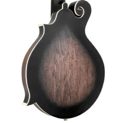 Gold Tone F6 F-Style Acoustic/Electric Mando-Guitar With Case - Gold Tone -Zedem Sale Store 9 back