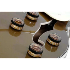 Schecter Corsair 2020 Gloss Gold - Schecter -Zedem Sale Store 97026 11