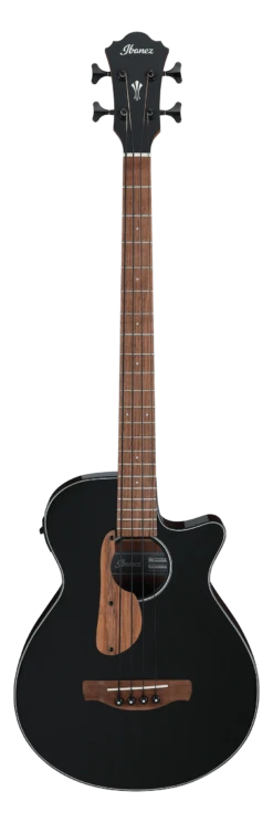Ibanez AEGB24E Acoustic Bass - Black High Gloss - Ibanez